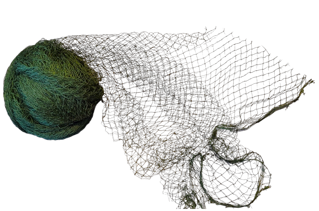 20231201_132853-PhotoRoom