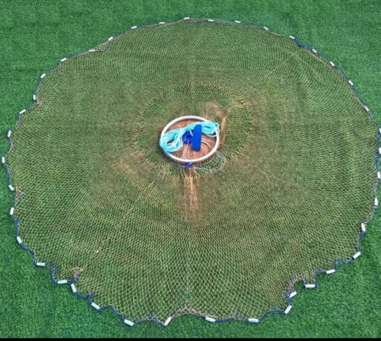 Screenshot_20221123-121552_AliExpress