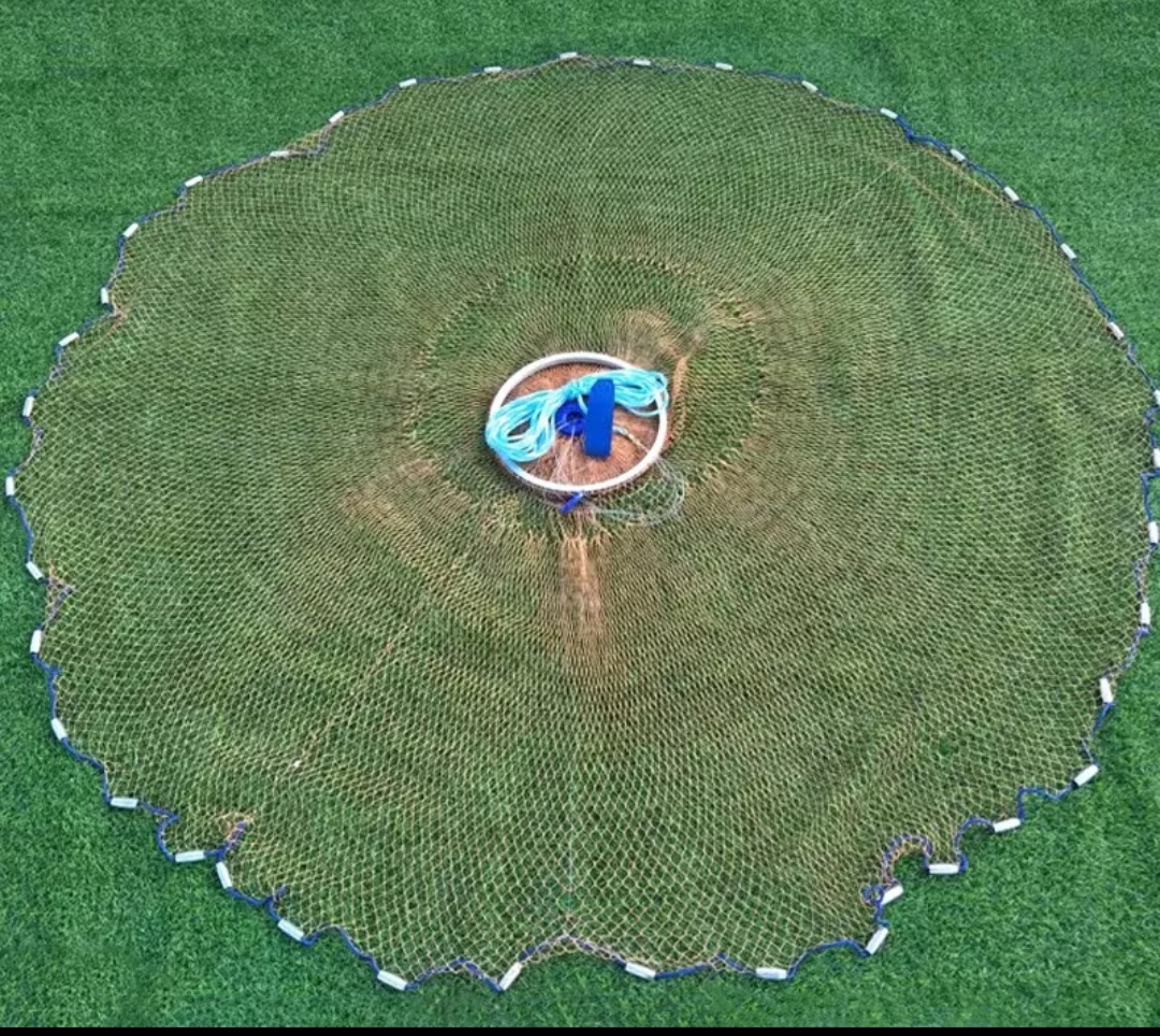 Screenshot_20221123-121552_AliExpress